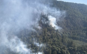40 incendios forestales activos en 11 Estados de la República Mexicana